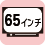 プラズマテレビ 65inch